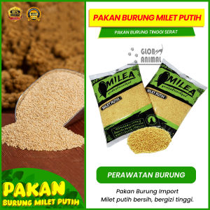 PAKAN BURUNG MILET PUTIH MILEA IMPORT PREMIUM lovebird kenari bebas