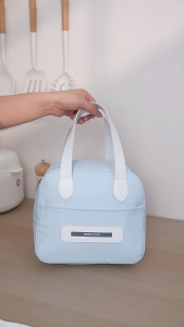 Lunch Bag for Women Men Portable Lunch Bag Reusable Lunch Box Portable Lunch Case Lovely Insulated Coolers Bag