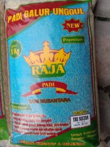 PADI TRI SULTAN TERBARU TRISULTAN 05 PERSILANGAN SERTANI 13 DAN INPARI 32