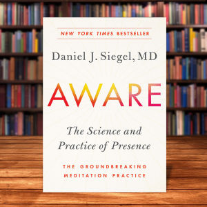 Aware The Science and Practice of Presence by Daniel J. Siegel