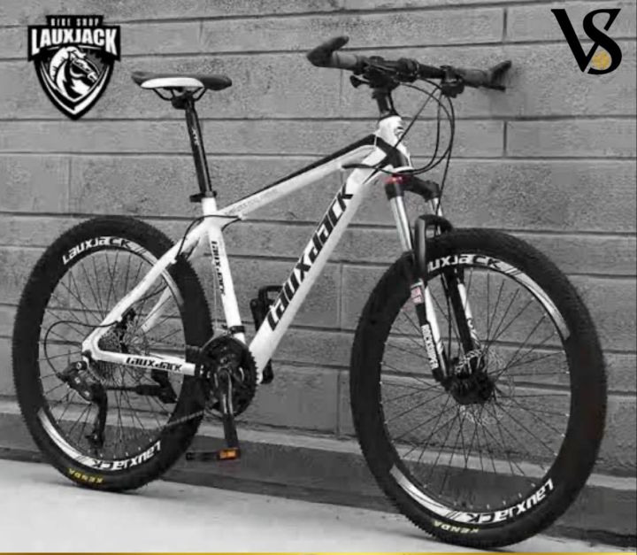 Heavy duty mountain discount bike