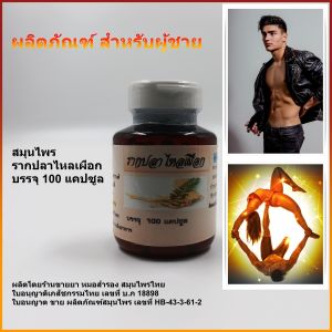 สมุนไพร รากปลาไหลเผือก บรรจุ 100 แคปซูล >>> สมุนไพร บำรุงร่างกาย >>> ใบอนุญาติเภสัชกรรมไทย เลขที่ บ.ภ.18898<<<