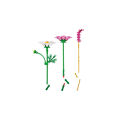 Lego Botanical 11514 Cosmos Flowers. 