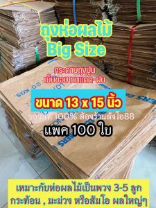 ถุงห่อผลไม้ Big Size 13x15 นิ้ว ถูกเติมเต็ม หรือถูกเปลี่ยนเป็นกระท้อน ห่อมะม่วง แบบพวง 3-5 ลูก ห่อส้มโอ แพค 100 ใบ ถูกฝน เย็บขอบ ทนแดด-ฝน กันแมลงวางไข่