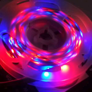 LED STRIP LIGHT COMBO 12VOLT SMD3528/5050