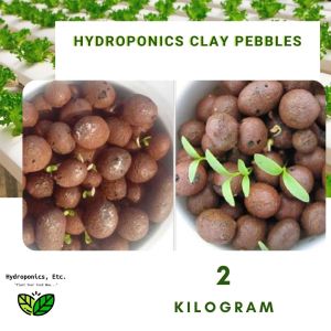 Hydroton Clay Balls (2kgs) by Hydroponics Etc
