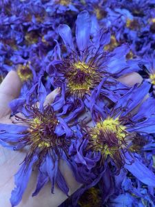 【China Tea】蓝莲花干花 睡莲花茶50g/100g Blue Lotus Dried Flower Water Lily Tea 50g/100g