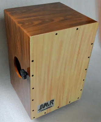 Adjustable snare cajon