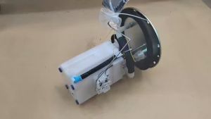JH Fuel Pump Assembly For KIA Grand Carnival 2.7L 3.5L 3.8L 2006-2014 31110-4D600 311104D600 31110 4D600
