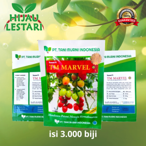 TM MARVEL isi 1.500 biji & 3.000 biji - Benih bibit sayur sayuran Tomat F1 - ORIGINAL PT. Tani Murni
