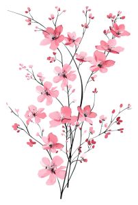 Hình in ủi áo Nhiều mẫu đẹp in áo mặc Tết 2025 - Mặc cute in áo tại nhà bằng bàn ủi (Nhiều kích cỡ & Mẫu)