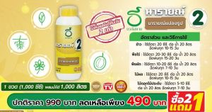 ชนิดเข้มข้น นารายณ์แปลงรูป สูตร 1000 ซีซี พืช ผลใหญ่สมบูรณ์ แก้ปัญหาพืชโทรม รุ่นนารายณ์แปลงรูป สูตร ชนิดเข้มข้น