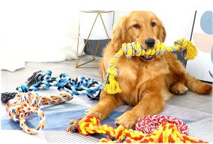 Cori Petto ชุดของเล่นสุนัข เชือกกัด 5 ชิ้น สําหรับสุนัขตัวกลาง-ใหญ่ ของเล่นหมา ทําจากเชือกฝ้าย ทนทาน ปลอดภัย อันใหญ่ กัดสนุก