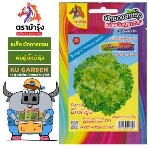 RAINBOW HORSE 🇹🇭 ผักซอง ม้ารุ้ง Z033 ผักกาดหอม (ผักสลัด) พันธุ์บิ๊กม้ารุ้ง เมล็ดพันธุ์ ผักกาด เมล็ดพันธุ์ผัก เมล็ดผัก ผักสวนครัว ตราม้ารุ้ง