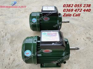 Motor 750w dây đồng điện 1 pha vòng tua 2900v/p