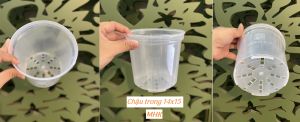 Chậu Nhựa Trong 14X15 (Cm) Thakico !