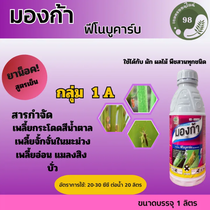 มองก้า ฟีโนบูคาร์บ กำจัดเพลี้ย