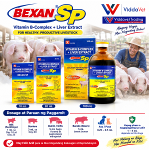Bexan sp 100 ml Unahco product Bexan sp 100 ml for pig Bexan for pets pig bexan xp capsul bexan xp bexan xp injectable