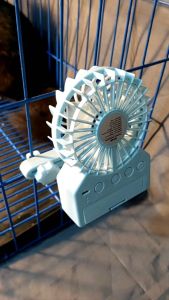 PET FAN for crates and cages