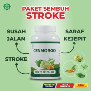obat stroke Cenmorgo Atasi Stroke ringan stroke berat Syaraf Kejepit Penyumbatan Darah