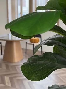 Nordic Round Dining Table Super Crystal Marble Modern Simple Small Dinning Room Household