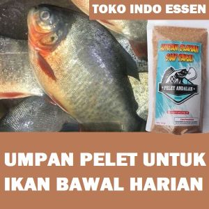 Umpan Pelet Ikan Bawal Harian Paling Gacor Siap Pakai