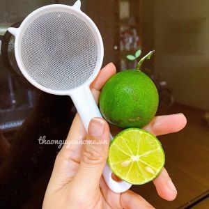 Dụng cụ rây lọc hạt chanh lưới nhựa không gỉ