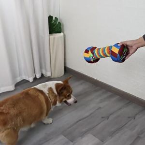 Pet dog toy candy-shaped dumbbell chew toy squeaky toy for cleaning teeth and grinding interactive toy for dogs pet supplies