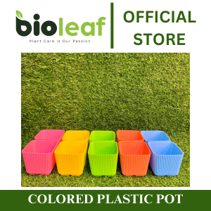 Colored Pot Plastic(3x3) Indoor and Outdoors pot