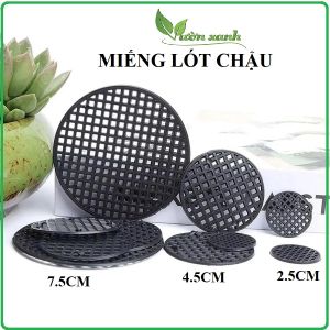 Set 10-50  Tấm Lưới Lót Đáy Chậu Hoa Thoáng Khí Chống Rò Rỉ phù hợp trồng chậu sen dábonsai chậu cây min để bàn