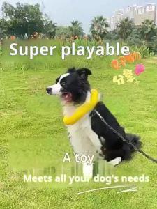 Dog Training Frisbee Bee Pattern EVAToy Dog Frisbee Large Dog Border Collie Chew Training Ring Pull Toy Ball durable-look pet flying disc outdoor fetch and training toy Pet Care