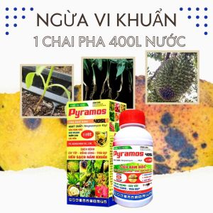 Thối Quả Thối Trái Thối Rễ Thối Củ Thối Bông Sầu Riêng Cà Phê Bơ Tiêu Điều Pyramos 40SL