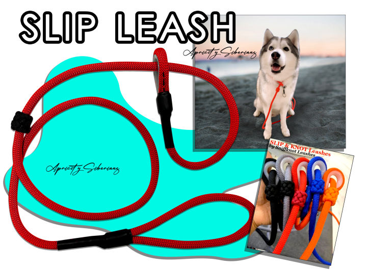 Slip Leash Lead Dog Training Top Paw® Rope Slip Lead