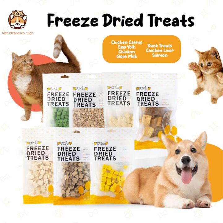 Cat Treat Pet Snacks Pure Chicken Treats Freeze Dried Meat 30g Cat