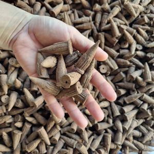 Họp 45 NụTrầm Hương Nhà Âu Lạc Dùng Được Cho Thác Và Lư 100% Trầm Kiến Tự Nhiên Không Hóa Chất