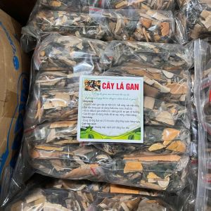 Cây Lá Mát Gan Tây Bắc Cây Lá Gan Người Dao Shop Tây Bắc 21