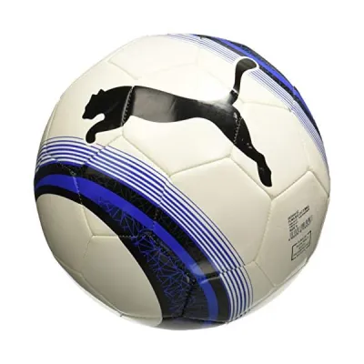 PUMA Big Cat 3 Training Football