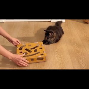 AIMAYAPET cat stick maze box Cat Digging Toys Cat Toy Puzzle Game Box wooden maze for kitten猫咪掏洞玩具益智 迷宫盒铃铛球猫玩具