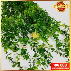 Juntai Ekaliptus Panjang 1 Pcs - pelaminan - hiasan import artificial hiasan Dekorasi Eucalyptus -  daun dolar rambat homedecor - dekorasi cafe - Hiasan kamar ruang tamu
