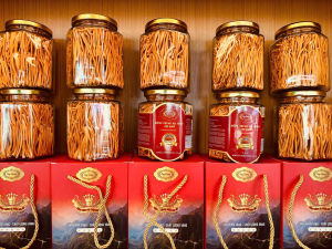 Đông trùng hạ thảo sấy thăng hoa đông trùng cao cấp giá rẻ