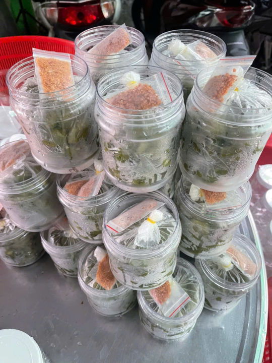 C%C3%A0%20na%20th%C3%A1i%20%C4%91%E1%BA%ADp%20d%E1%BA%ADp%20x%E1%BB%91c%20mu%E1%BB%91i%20%E1%BB%9Bt%20-%20B%E1%BB%8ACH%20500G%20-%20Image%205