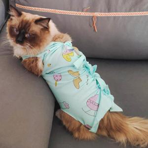 PETWELL Cat Surgical Recovery Suit Protective Pet Clothing for Post-Surgery Healing and Comfort