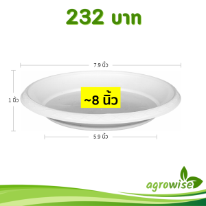 กระถาง กระถางต้นไม้ กระถางขาว เบอร์ 8 7.5 นิ้ว สีขาว 25 ใบ ชิ้น อัน