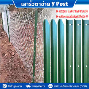 เสารั้วเหล็ก Y Post เสารั้ว (สูง 1.3m 1.5m 1.8m) เสารั้วเหล็กหนา เสารั้วตาข่าย เสาล้อมสวน เสารั้วบ้าน เสารั้วเหล็กหล่อสามเหลี่ยม รั้วสวน เสารั้วทั่วไป