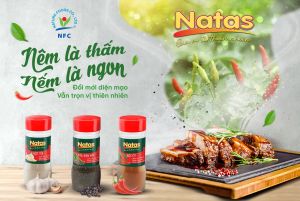 BỘT GỪNG NATAS gia vị tiện dụng (hũ 40g)