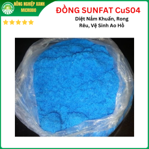 500g ĐỒNG SUNFAT CuS04 Diệt Nấm Khuẩn Rong Rêu Vệ Sinh Ao Hồ
