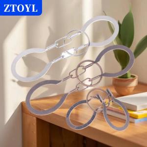 [COD]🔥🔥🔥ZTOYL 1 Piece 3D Metal Puzzle Brain Teaser Ring Removal Adults Kids IQ Challenge Games Horseshoe Lock Old Lock Shackles Solution Wit