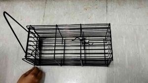 Rat cage/rat trap/mouse trap/mice trap/rodent control/rat bait/panghuli ng daga.