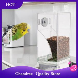 [Chandrae] กล่องให้อาหารนกขนาดเล็กขนาดกลาง กล่องให้อาหารนกที่ทนทาน