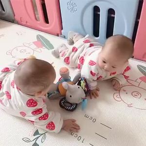 GEEBON Baby Plush Rattle Toy Stroller Crib Hanging Stuffed Animal Fox Monkey Baby Teether